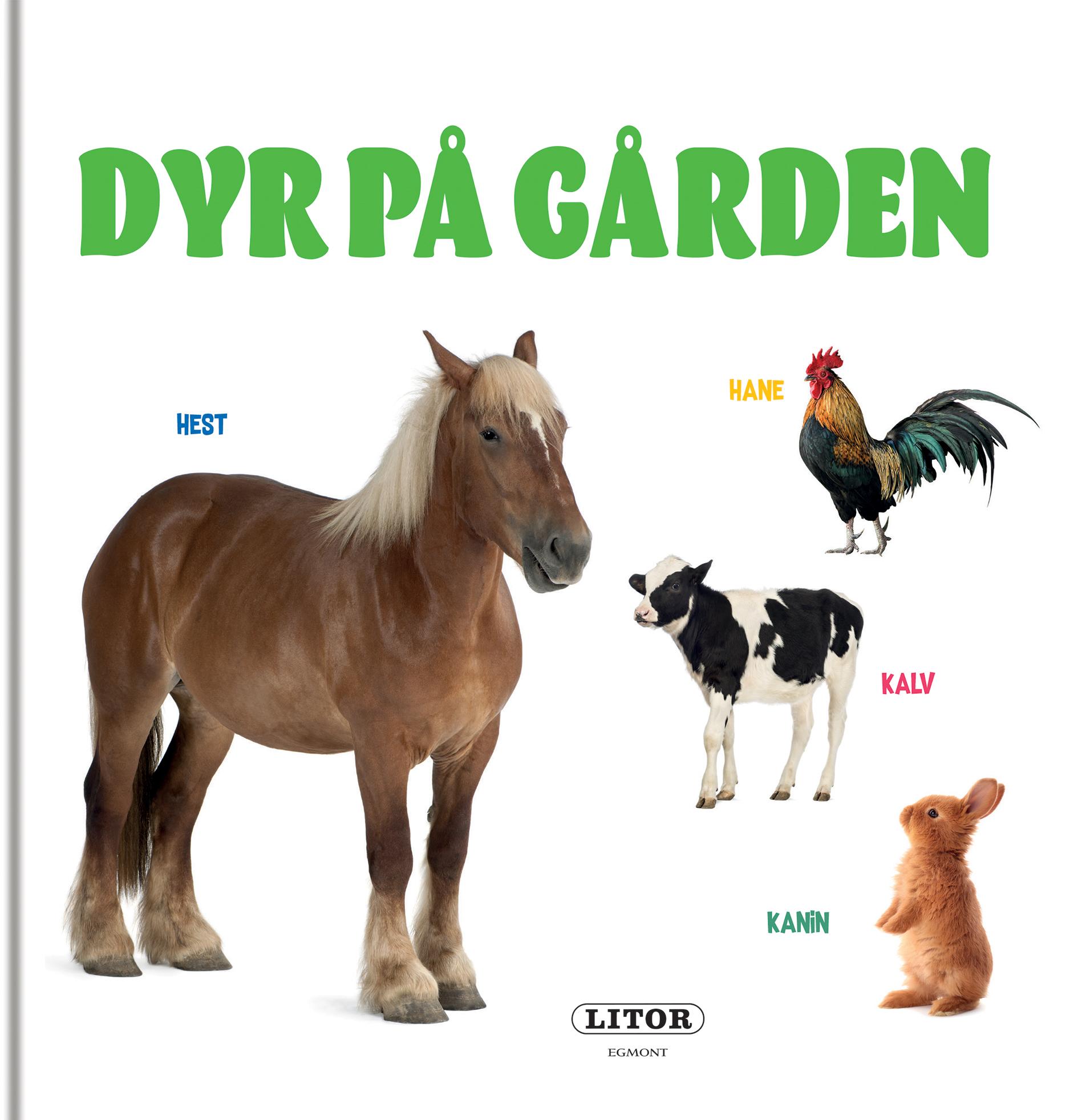 Dyr på gården