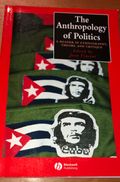 The Anthropology of Politics