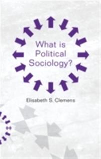 What is Political Sociology?